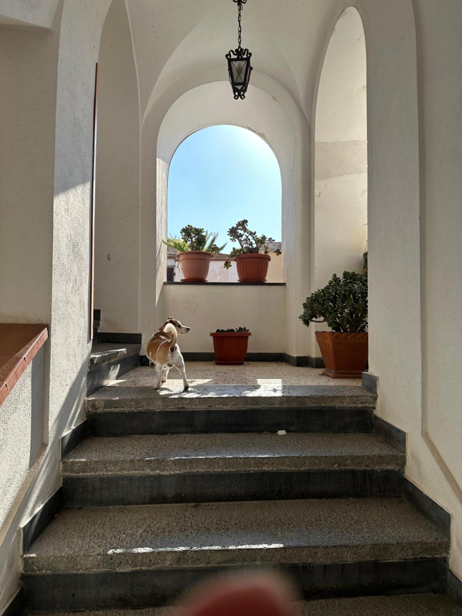 B&B Frai Sorrento Dış mekan fotoğraf