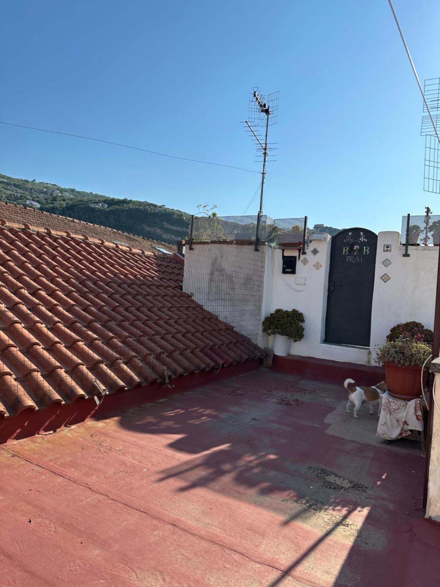 B&B Frai Sorrento Dış mekan fotoğraf